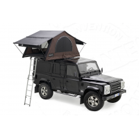 Nomadland