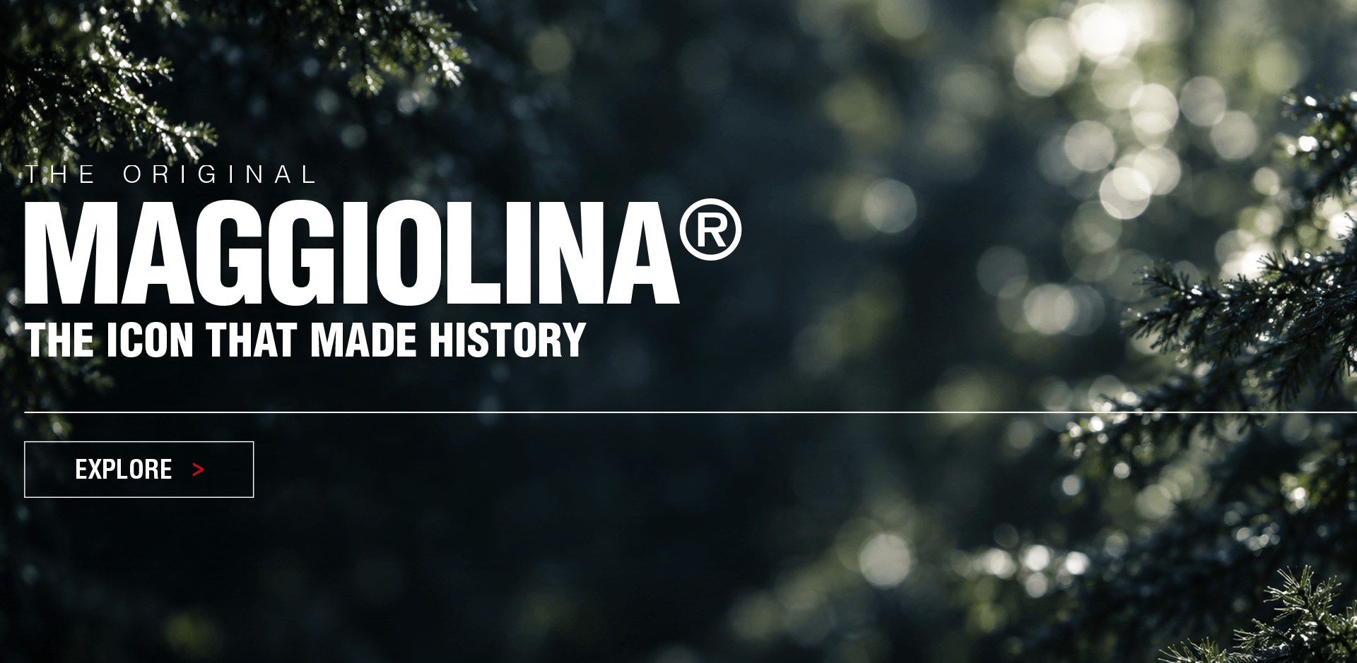 Maggiolina history