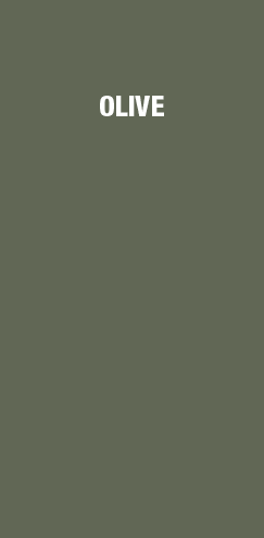 tende da tetto colorazioni olive